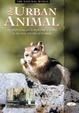 Cover art for The Urban Animal (Natural World (Barron))