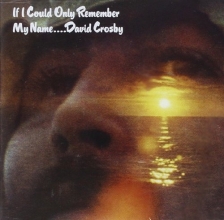 Cover art for If I Could Only Remember My Name