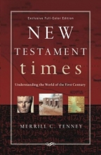 Cover art for New Testament Times: Understanding the World of the First Century