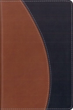 Cover art for NIV Compact Thinline Bible