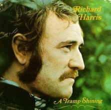 Cover art for A Tramp Shining