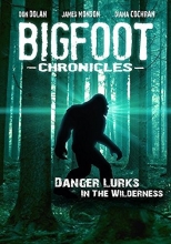 Cover art for Bigfoot Chronicles