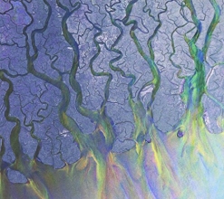 Cover art for An Awesome Wave