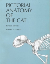 Cover art for Pictorial Anatomy of the Cat