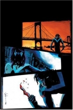 Cover art for Nightwing: Brothers in Blood