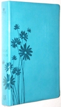 Cover art for HCSB Personal Size Bible Light Teal Blue Flowers