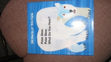 Cover art for Polar Bear, Polar Bear, What Do You Hear?