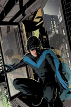Cover art for Nightwing: The Lost Year