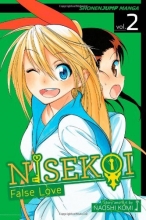 Cover art for Nisekoi: False Love, Vol. 2: Zawsze in Love