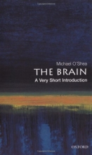 Cover art for The Brain: A Very Short Introduction