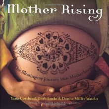 Cover art for Mother Rising