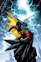 Cover art for Robin: The Big Leagues