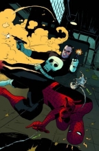 Cover art for Spider-Man: Crime and Punisher