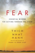 Cover art for Fear: Essential Wisdom for Getting Through the Storm