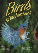 Cover art for Birds of the Northeast