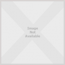 Cover art for POMPEII - THE GUIDE TO THE ARCHAEOLOGICAL SITE