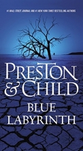 Cover art for Blue Labyrinth (Agent Pendergast series)