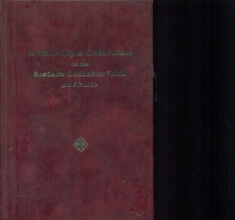 Cover art for A New-Style Catechism on the Eastern Orthodox Faith for Adults