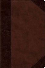 Cover art for ESV Reader's Bible (TruTone, Brown/Walnut, Portfolio Design)