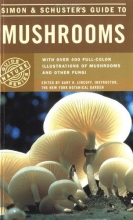 Cover art for Simon & Schuster's Guide to Mushrooms (Nature Guide Series)