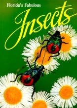 Cover art for Florida's Fabulous Insects