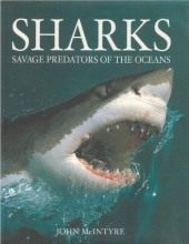 Cover art for Sharks: Savage Predators of the Oceans
