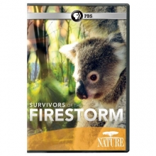 Cover art for Nature: Survivors of the Firestorm
