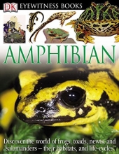 Cover art for Amphibian