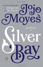 Cover art for Silver Bay: A Novel