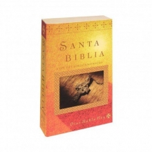 Cover art for Santa Biblia Con Deuterocanonicos-VB (Spanish Edition)