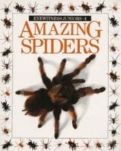 Cover art for Amazing Spiders (Eyewitness Junior)