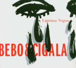 Cover art for Lagrimas Negras