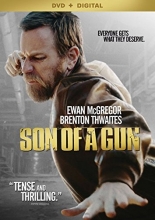 Cover art for Son of a Gun
