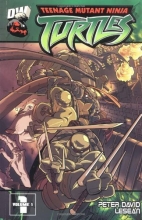 Cover art for Teenage Mutant Ninja Turtles Volume 1