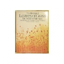 Cover art for The Illustrated Leaves of Grass