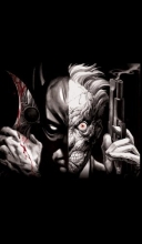 Cover art for Batman vs. Two-Face