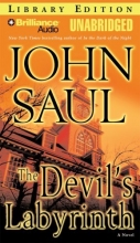 Cover art for The Devil's Labyrinth: A Novel