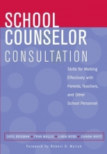 Cover art for School Counselor Consultation: Skills for Working Effectively with Parents, Teachers, and Other School Personnel