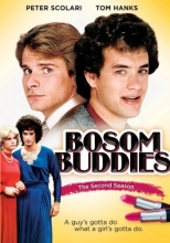 Cover art for Bosom Buddies - The Second Season