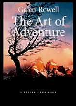 Cover art for The Art of Adventure