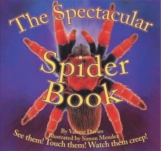 Cover art for The Spectacular Spider Book (Beautiful Bug)