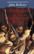 Cover art for The Secret of the Underground Room: A Johnny Dixon, Professor Childermass Book
