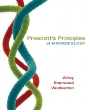 Cover art for Prescott's Principles of Microbiology
