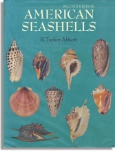 Cover art for American Seashells