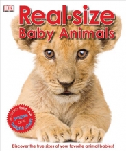Cover art for Real-size Baby Animals