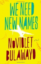Cover art for We Need New Names: A Novel (La Times - Art Seidenbaum Award for First Fiction)