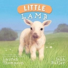 Cover art for Little Lamb Hardcover (9781435153523)