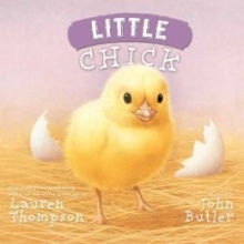 Cover art for Little Chick Hardcover (9781435153516)
