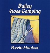 Cover art for Bailey Goes Camping