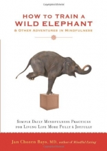 Cover art for How to Train a Wild Elephant: And Other Adventures in Mindfulness